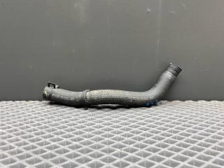 патрубок расширительного бачка Chevrolet Lacetti 1 поколение J200 2012, 1.6 л., F16D3, бензин, МКПП, хетчбэк 5 дв., передний привод, правый руль, 96553272