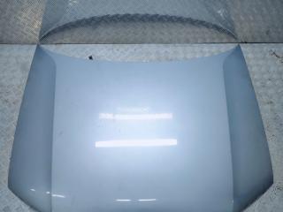 капот Volkswagen Tiguan 1 поколение 2009, 2.0 л., TDi, CBAB, дизель, серый