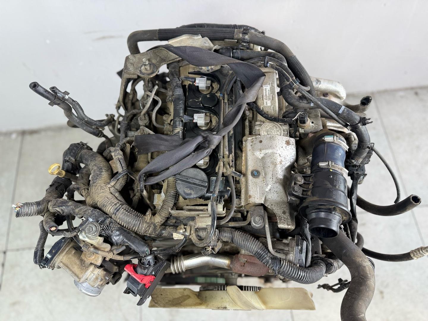 Двигатель с навесным Nissan Pathfinder R51 YD25TDDI 2.5 190Л.С 2012  пробег 90 т км В НАЛИЧИИ ЦЕНА ЗА ДВИГАТЕЛЬ КАК НА ФОТО Марка: NissanМодель: PathfinderГод: 2012 Кузов: R51Цвет: ЧерныйДвигатель: YD25TDDI 2.5 190л.сНомер и производитель: 101025X00A Niss