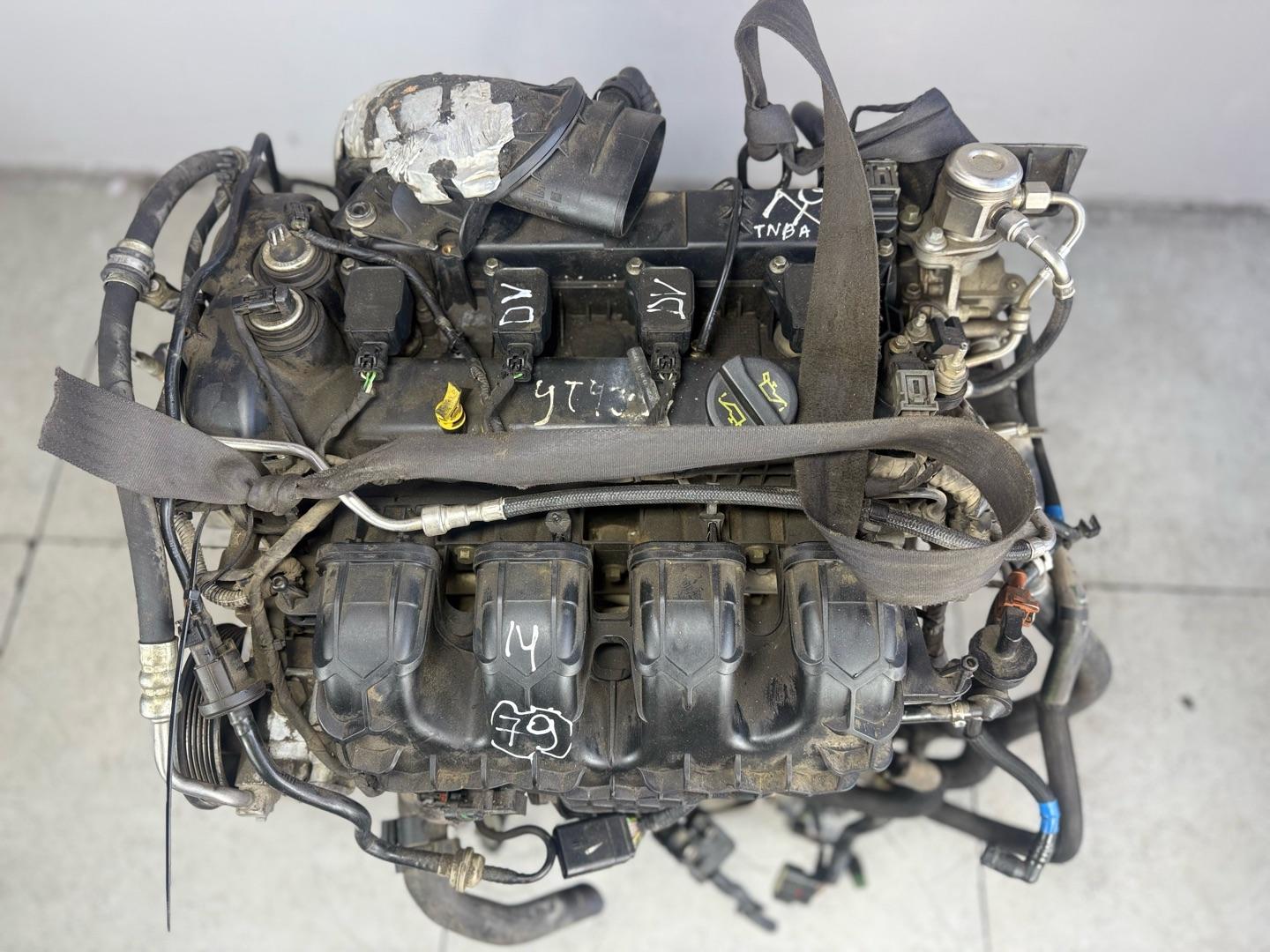 Двигатель Ford Mondeo 4 TNBA 2.0 ECOBOOST (контракт)ЦЕНА БЕЗ НАВЕСНОГО ОБОРУДОВАНИЯ Марка: FordМодель: MondeoКузов: 4Двигатель: TNBA 2.0 EcoboostНомер и производитель: tnba Ford  Двигатель подходит:Ford Mondeo 4 поколение 2007 - 2015 Mk 4 (BD,  BE,  BG,  