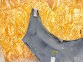 Клык бампера Renault Scenic RX4 1 поколение 2002, 1.9 л., F9Q 740, дизель, МКПП, полный привод, 7700435885, 7700437659, 7700437668, 7700437672 - фото №6
