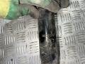 стойка передняя Renault Scenic 2 поколение [рестайлинг] 2007, 1.5 л., K9K 732, дизель, МКПП, 383365EGT - фото №5