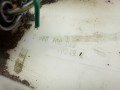 насос топливный Nissan Primera P12 2002, 2.2 л., YD22DDT, дизель, МКПП, седан, 17040AV715212, 0580300022 - фото №7