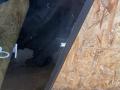 стекло кузовное боковое правое Kia Sorento 2 поколение 2010, 2.2 л., дизель, МКПП, полный привод, правый руль, E1143R000399 - фото №6