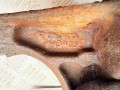 кронштейн полуоси Volvo S80 1 поколение 2000, 2.4 л., B 5244 S, бензин, МКПП, седан, 9143465 - фото №4