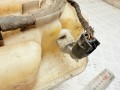 бачок омывателя BMW 5 серия E60/E61 2005, 3.0 л., M57N 306 D2, дизель, АКПП, седан, 61667055349 - фото №6