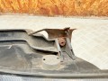 фара левая SEAT Leon 1 поколение 2005, 1J0941295B, 1M1941001B, 67742691 - фото №9