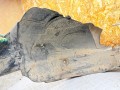 защита арок передняя левая (подкрылок) Mercedes-Benz A W169 2 поколение (2004-2008) 2004, 2.0 л., M 266.960, бензин, МКПП, 1696903330 - фото №11