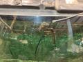 стекло заднее Volkswagen Touareg 1 поколение 2006, 2.5 л., BAC, дизель, МКПП, внедорожник 5 дв. - фото №7