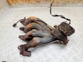 лямбда-зонд Renault Scenic 2 поколение 2005, 1.6 л., K4M 782, бензин, МКПП, 0258006046, 7700107433, 4408954, 91160174, 6LS001, 7700107541, 7700107561, 7700108027, 8200196260, FX0003A, FX4001B, FX4001F, 211N20026Z - фото №4