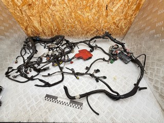 проводка двигателя Citroen C4 Grand Picasso 1 поколение 2006, 1.8 л., 6FY (EW7A), бензин, МКПП, 9661756380, 9662777180, KF144U
