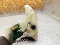 бачок омывателя Peugeot 607 1 поколение 2003, 2.2 л., бензин, МКПП, седан, 9638831080, 9638831180, 98047100, 96048100 - фото №6