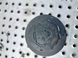 крышка ступицы Scania R 4 поколение 2019, 12.7 л., DC 13.148, дизель, АКПП, белый, правый руль, 2734965, 1864221