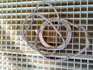 датчик ABS MAN TGX 1 поколение 2017, 12.4 л., D 2676 LF 52, дизель, АКПП, белый, правый руль