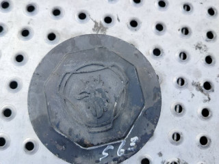 крышка ступицы Scania R 4 поколение 2019, 12.7 л., DC 13.148, дизель, АКПП, белый, правый руль, 2734965, 1864221