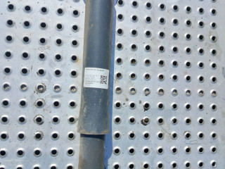 амортизатор передний Scania R 4 поколение 2019, 12.7 л., DC 13.148, дизель, АКПП, белый, правый руль, 2540168