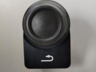 кнопка (выключатель) DAF XF 106 1 поколение 2017, MX-13, белый, правый руль, 1931725