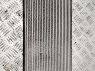 радиатор отопителя (печки) MAN TGX 1 поколение 2017, 12.4 л., D 2676 LF 52, дизель, АКПП, белый, правый руль, 81619016191, U7345004