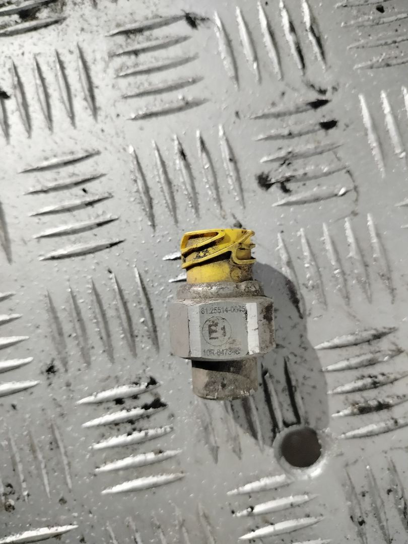 датчик (прочие) MAN TGX 1 поколение 2018, 12.4 л., D 2676 LF 51, дизель, АКПП, белый, правый руль, 81255140045, 81255140035, 81255146007, 81255200209, 81255140031 - фото №1