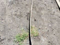 рессора Mercedes-Benz LK 2000, 6533200502 - фото №2