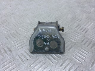петля двери Peugeot 307 1 поколение 2004, 1.6 л., 9HZ (DV6TED4), дизель, МКПП, серебро, универсал, передний привод