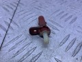 форсунка омывателя лобового стекла Opel Antara 1 поколение 2006, 2.0 л., Z 20 DMH, дизель, 5МКПП, серебро, внедорожник 5 дв., полный привод - фото №4