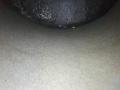 двигатель BMW 5 серия E60/E61 [рестайлинг] E60 (2007 - 2010), 2.5 л., N53 B25 A, бензин, АКПП, белый, седан, задний привод, N53B25A, 71174418 - фото №29