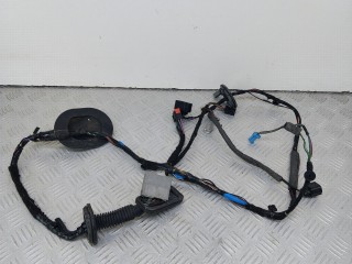 дверная проводка Land Rover Range Rover Sport 1 поколение [рестайлинг] (2009 - 2013)