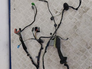 дверная проводка Land Rover Range Rover Sport 1 поколение [рестайлинг] (2009 - 2013)