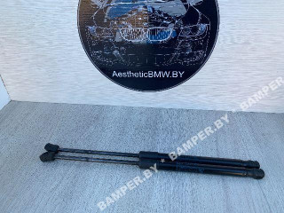 амортизатор капота BMW X5 E70 2007, 3.0 л., дизель, АКПП, внедорожник 5 дв., 51327148346, 7148346