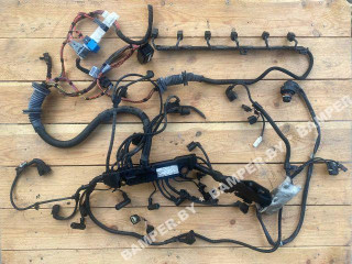 проводка двигателя BMW 5 серия E60/E61 [рестайлинг] 2008, 3.0 л., дизель, седан