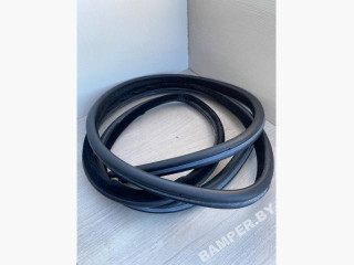 уплотнитель двери BMW 5 серия E60/E61 [рестайлинг] 2008, 3.0 л., дизель, АКПП, седан