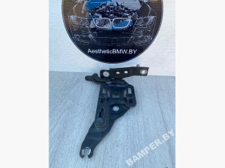 петля капота левая BMW X5 E70 2007, 3.0 л., дизель, АКПП, внедорожник 5 дв., 7148347