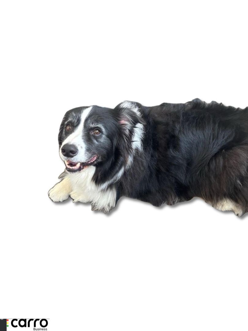 компрессор кондиционера Mercedes-Benz AMG GT 4 1 поколение X290 2021, 3.0 л., Ti, бензин, АКПП, лифтбэк, полный привод, 123 - фото №1