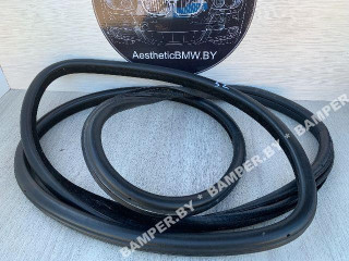 уплотнитель двери BMW X5 E70 2007, 3.0 л., дизель, АКПП, внедорожник 5 дв.