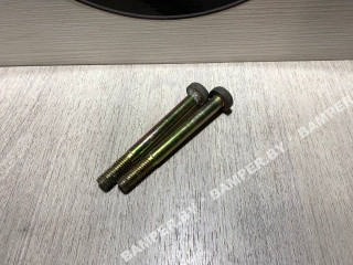 болт BMW X5 E53 [рестайлинг] 2005, 3.0 л., дизель, АКПП, внедорожник 5 дв.