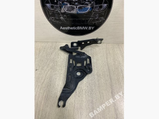 петля капота BMW X5 E70 2007, 3.0 л., дизель, АКПП, внедорожник 5 дв., 7148347