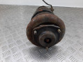 стойка передняя левая Nissan Primera P12 2002, 1.8 л., i, QG18DD, бензин, АКПП - фото №3