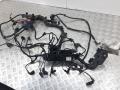 проводка BMW X3 E83 2006, 3.0 л., D - фото №3