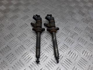 форсунка Peugeot 307 1 поколение 2005, 1.6 л., HDi, 445110259