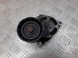 натяжитель Renault Laguna 2 поколение 2003, 2.2 л., DCi, 802410121