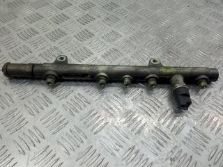 топливная рампа Renault Laguna 2 поколение 2005, 1.9 л., DCi, 445214024