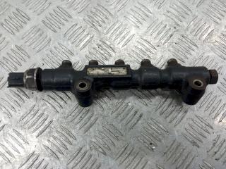 топливная рампа Peugeot 206 1 поколение [рестайлинг] 2007, 1.6 л., 9654592680