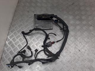 блок управления двигателем Ford Focus 2 поколение 2008, 1.6 л., i, S118325001