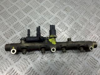топливная рампа Citroen C5 1 поколение 2002, 2.2 л., HDi, 445214017