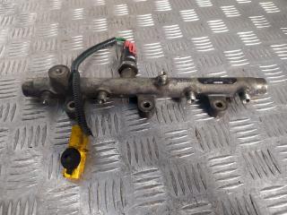 топливная рампа Citroen C5 1 поколение 2001, 2.0 л., HDi, 445214019