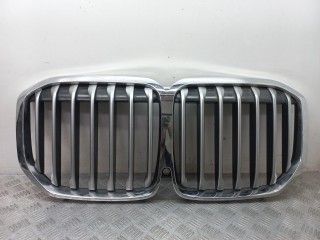 решетка радиатора BMW X7 G07 2021, 8094566