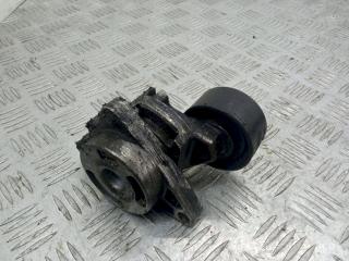 натяжитель Renault Laguna 2 поколение 2003, 2.2 л., DCi, 802410121