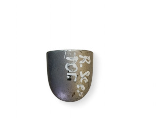 колпачок (заглушка) ручки двери Renault Scenic 3 поколение 2010