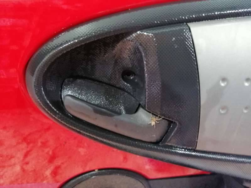 ручка внутренняя передняя правая Citroen C1 1 поколение 2005, 1.0 л., бензин, хетчбэк 5 дв. - фото №1